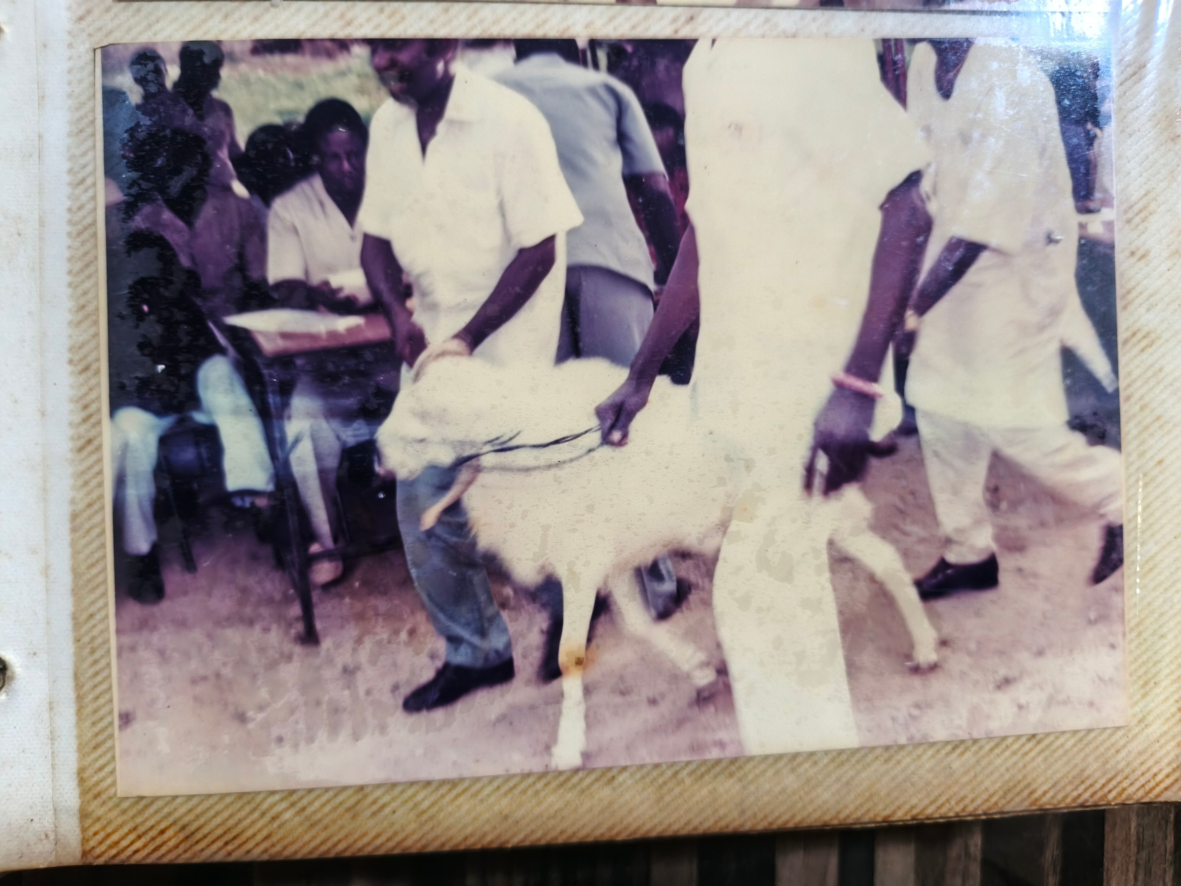 Early Interactions of Igwe Orizu Across Regions